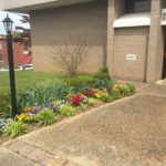 Ripley Public Library Spring Flowers