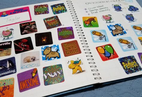 My son turned his journal into a sticker book.  He collected stickers anywhere he could get one.  What a wonderful story they tell in years to come.