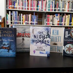 Winter adult reads