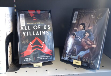 Blue Mountain Library Shelfie Day