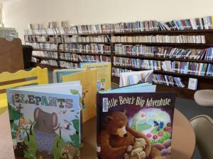 Chalybeate Library Children's Section