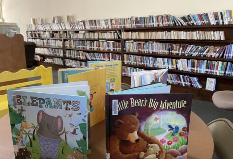 Chalybeate Library Children's Section