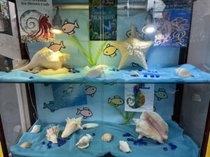 Iuka Library Summer Reading Display