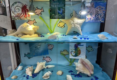 Iuka Library Summer Reading Display