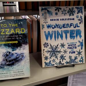 Winter books on display at the Tishomingo Library