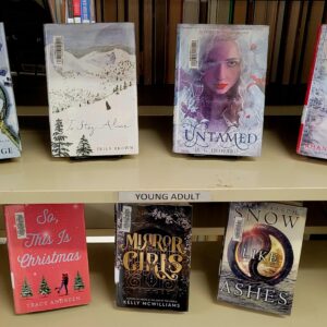 Winter books on display at the Tishomingo Library