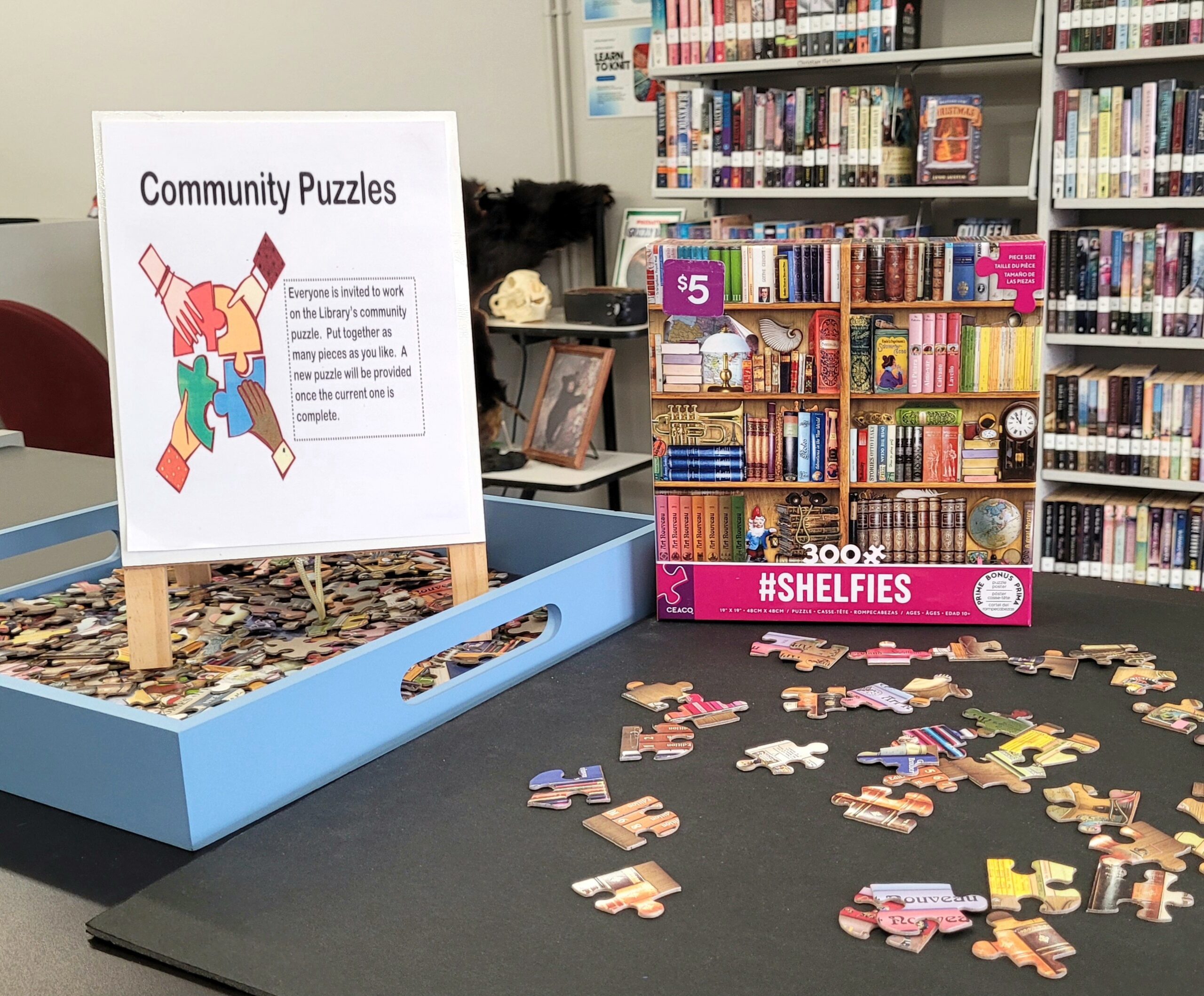 NLW 2025 4 Northeast Regional Library